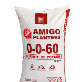 Amigo Potash Fertilizer (MOP) 0-0-60 Prilled Type (50kg)